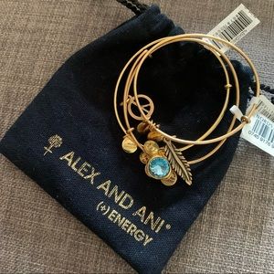 Alex and Ani Charm bracelet 3 pack